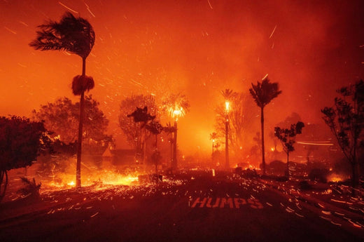 LA Wildfires: A Stark Reminder to Be Prepared
